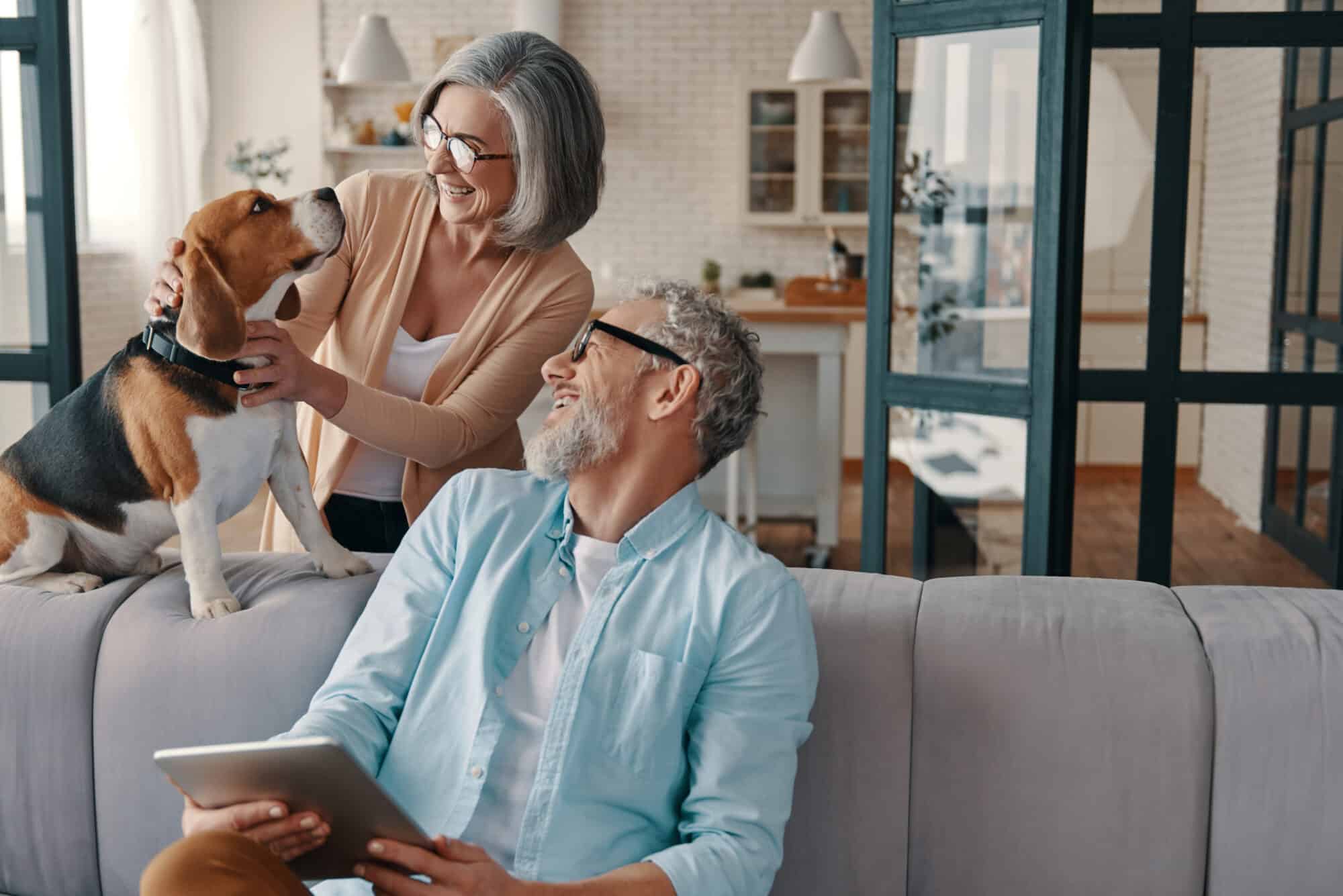 Couple fussing a dog whilst investigating pension allowances